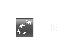 TEB Logo